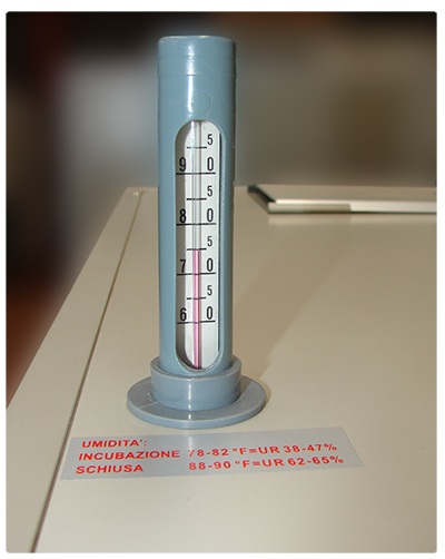 Hygromètre MG1000