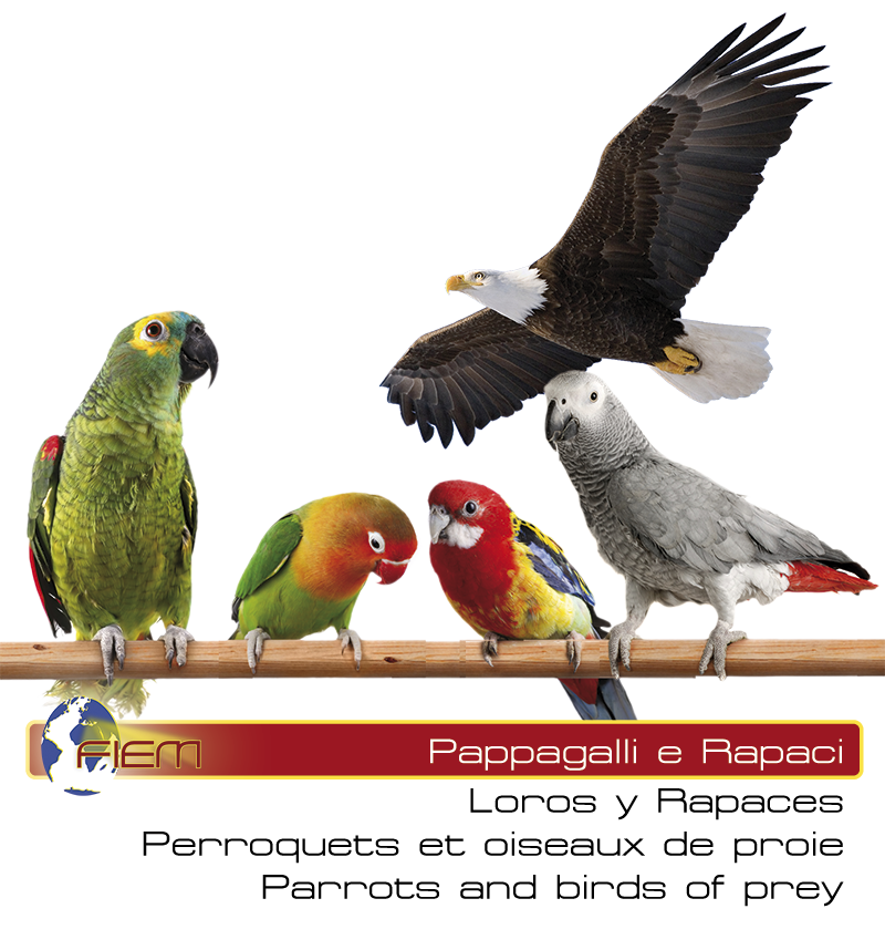2017 Fiem pappagalli rapaci