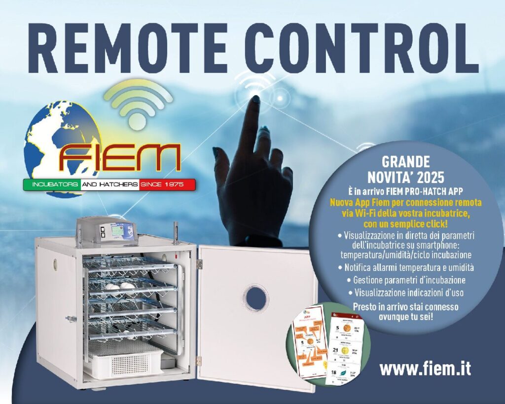 thumbnail of Remote Control FIEM