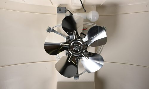 Cosmo - Fan
