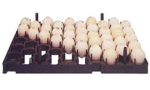 duck/turkey-setting tray
