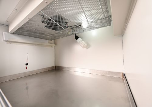 Tortuga room - internal 2