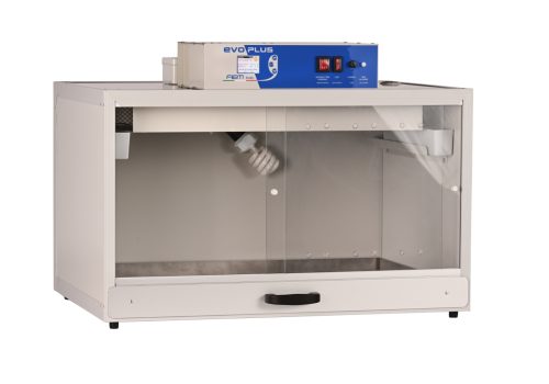 Tortuga room - side