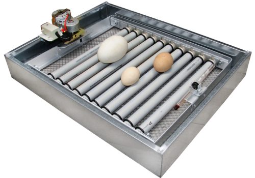 professional tray