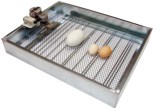 standard tray